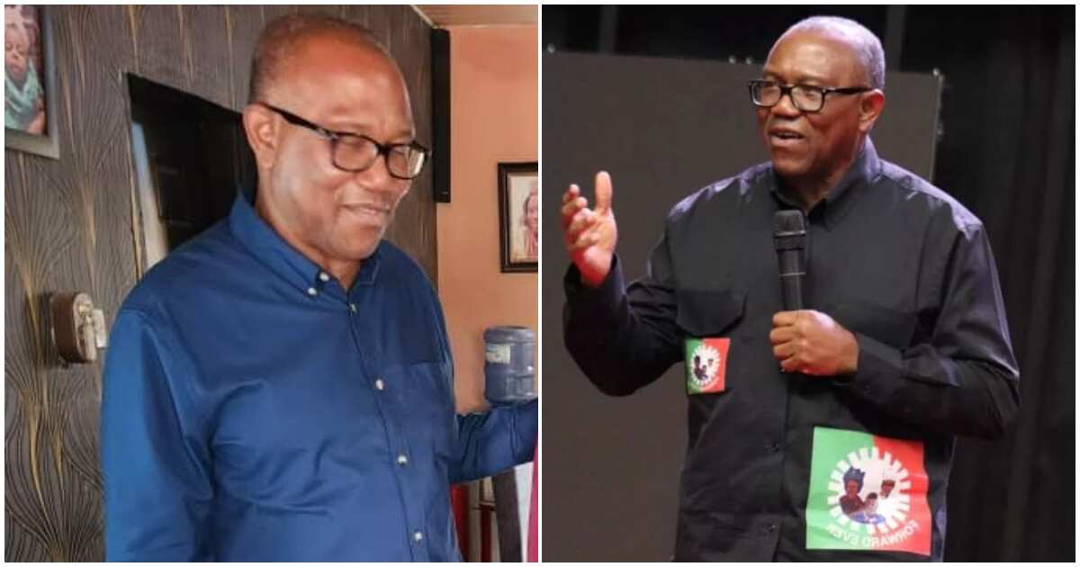 Breaking: Peter Obi, Labour Party Reveal Number Of States Where They'll ...