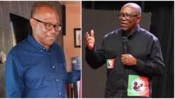 Breaking: Peter Obi, Labour Party reveal number of states where they'll challenge election results