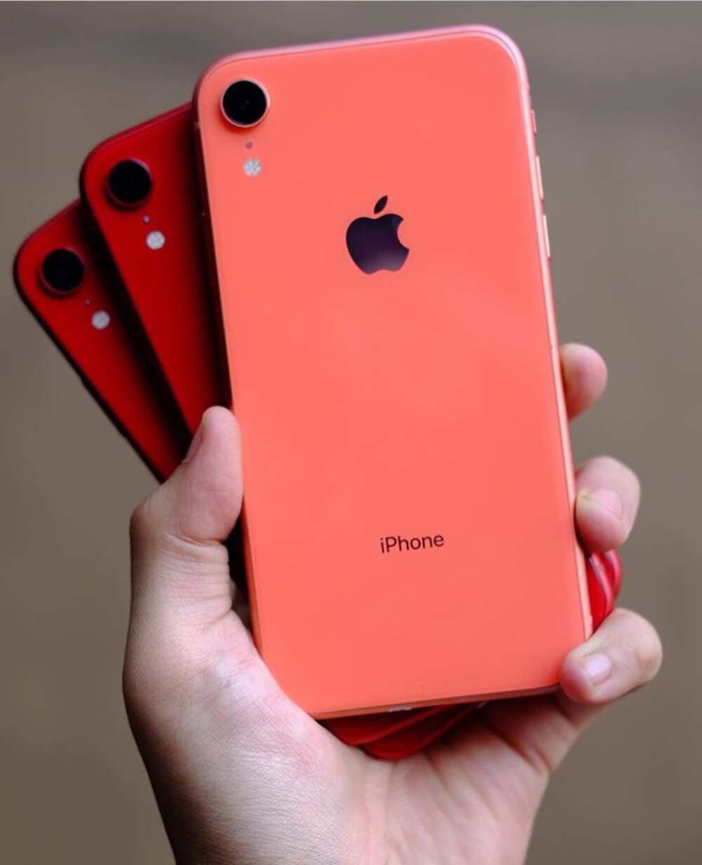 iPhone XR release date