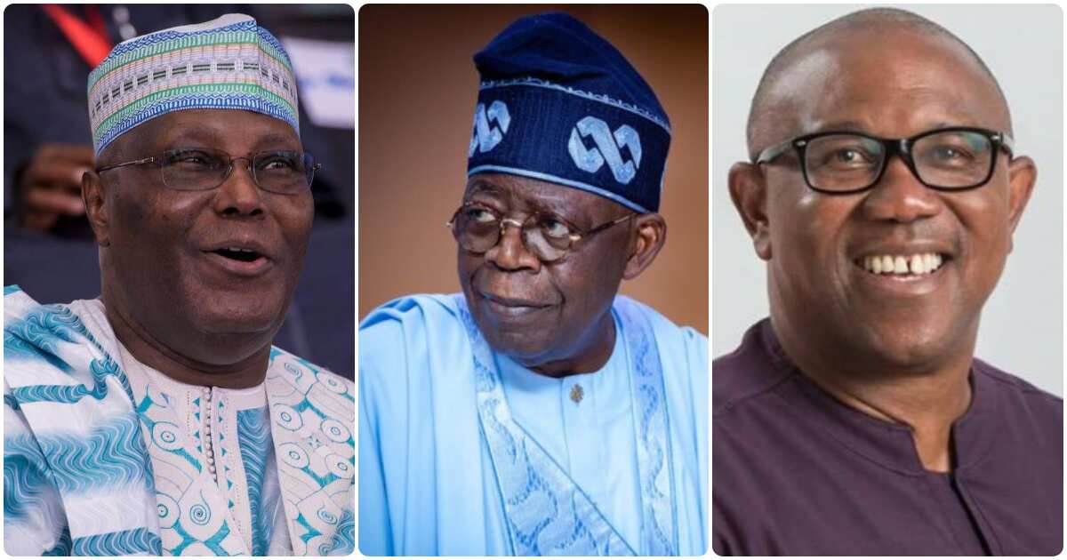 Bola Tinubu reveals his major contenders, dismisses others