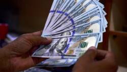 N920/$1: Naira Ta Gagara Rike Dala a Kasuwar Canji, Kudin Najeriya Ya Koma Tangadi