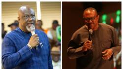 "Shoe get size": Dino Melaye attacks Peter Obi after Labour Party's poor campaign outing in Ekiti