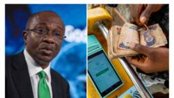 PoS Operators, Falana to go to court over CBN's withdrawal limit