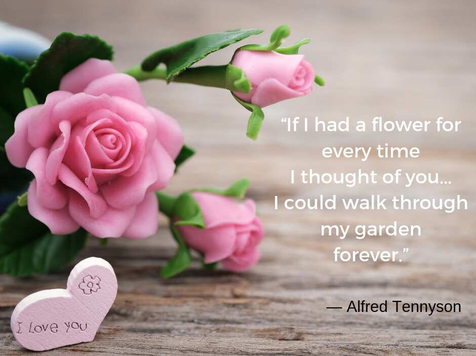 Romantic quotes Romantic quotes