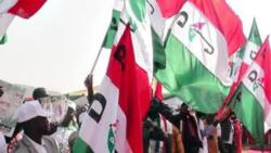 Ekiti election: PDP New Generation unveils 80-man Youth Campaign Council