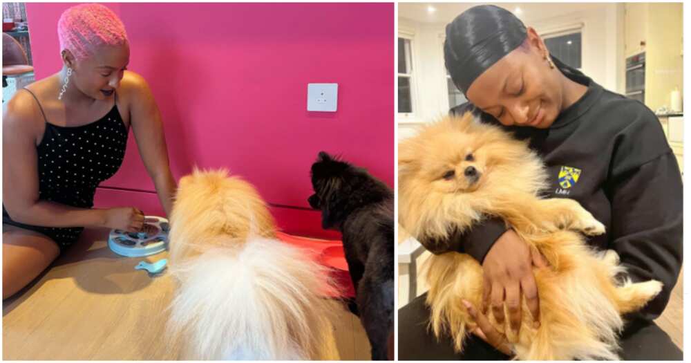 Man tells DJ Cuppy to be a single mum, she reacts Man tells DJ Cuppy to be a single mum, she reacts