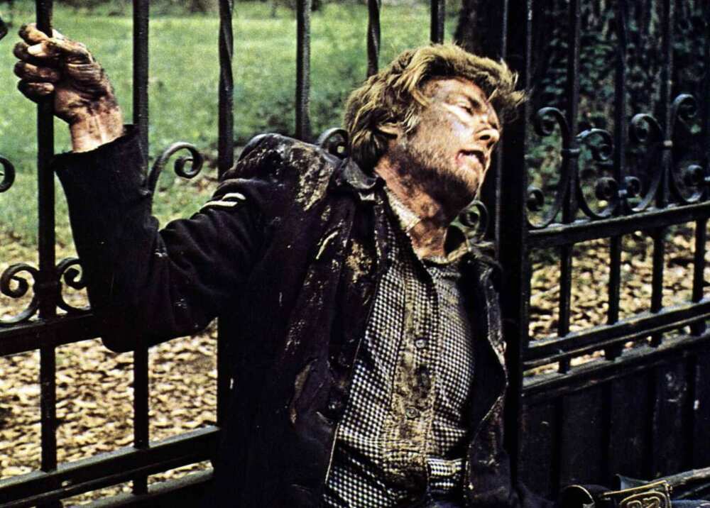 Clint Eastwood en 92 films, de l’acteur au réalisateur exceptionnel Clint Eastwood en 92 films, de l’acteur au réalisateur exceptionnel