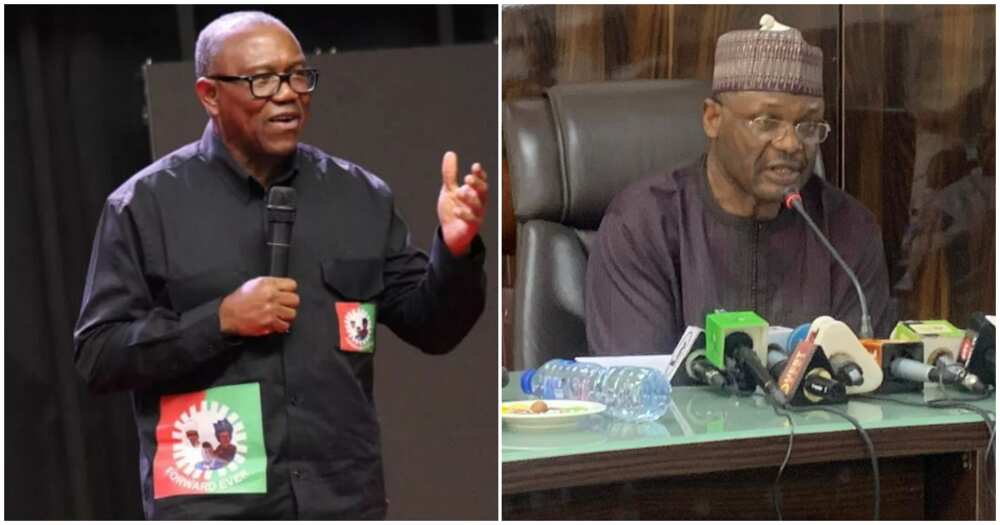 Peter Obi/INEC/Election tribunal/Expose