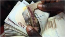 Naira redesign: CBN issues new directive to banks as deadline for return of old notes approaches