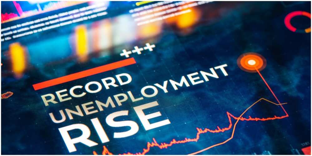 Lack of jobs put over 23 million Nigerians into unemployment market. Photo: da-kuk