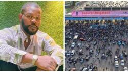 Lekki toll gate: The recommendations must be implemented fully, rapper Falz reacts to judicial panel's report