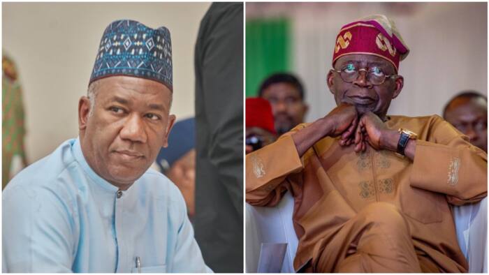 Why Tinubu should not be sworn-in as Nigeria's president, Peter Obi's running mate reveals