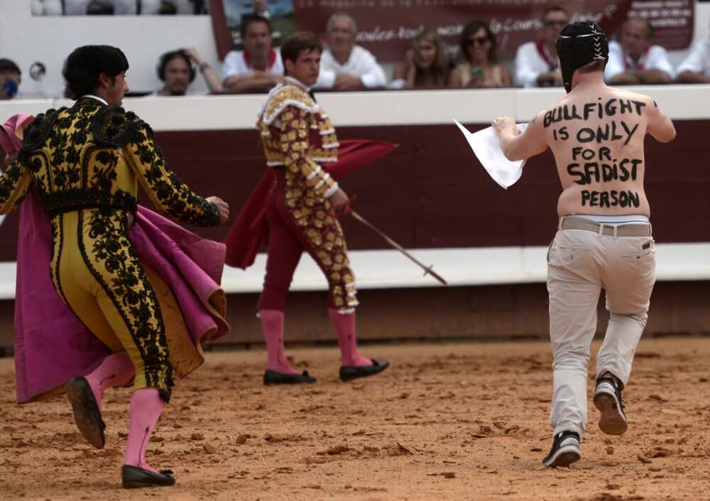Bullfighting is defended as a local tradition in many towns in southern France