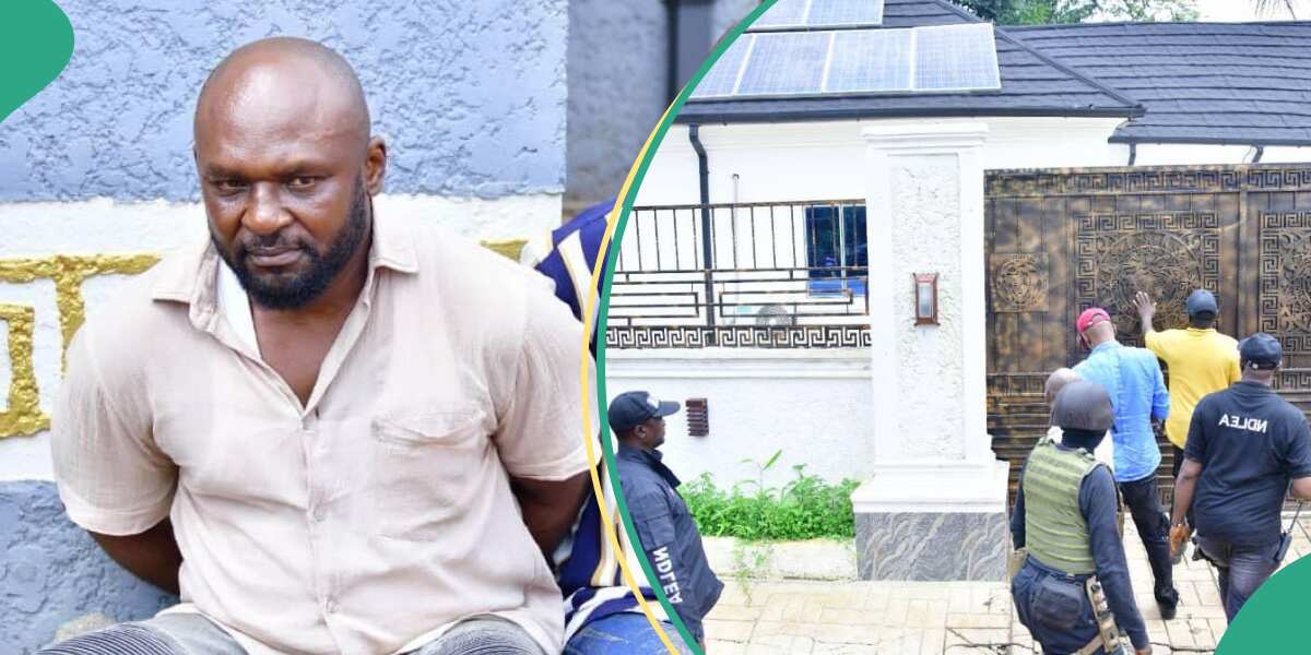 How NDLEA arrested Nigerian drug baron in Imo mansion after escaping from South Africa