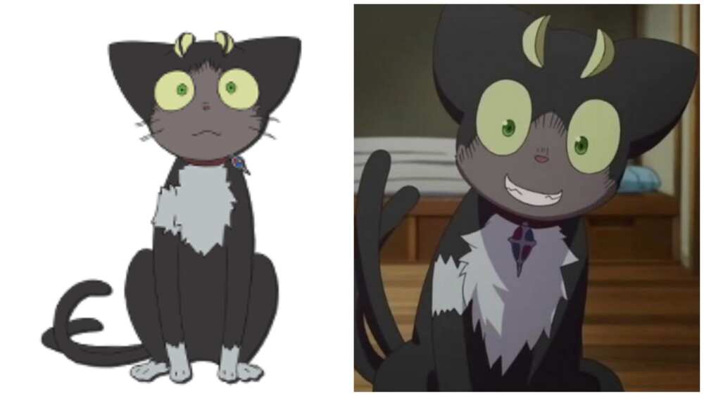cat anime characters