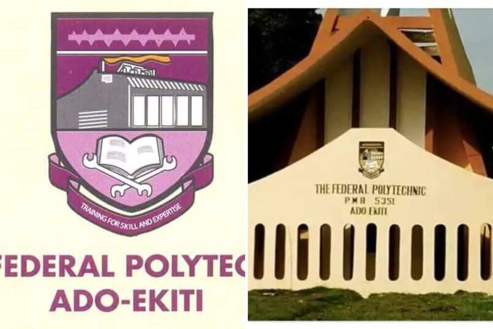 List of polytechnics in Nigeria