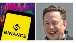 Crypto exchange platform, Binance gives Elon Musk $500 million to buy Twitter