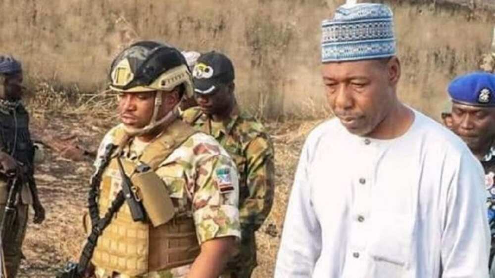 Yadda mayaƙan Boko Haram suka yi amfani da jaki wajen kai wa Gwamna Zulum hari