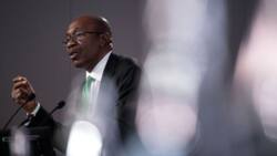To be or not to be: Suspense as Emefiele takes presidential bid to court, awaits verdict