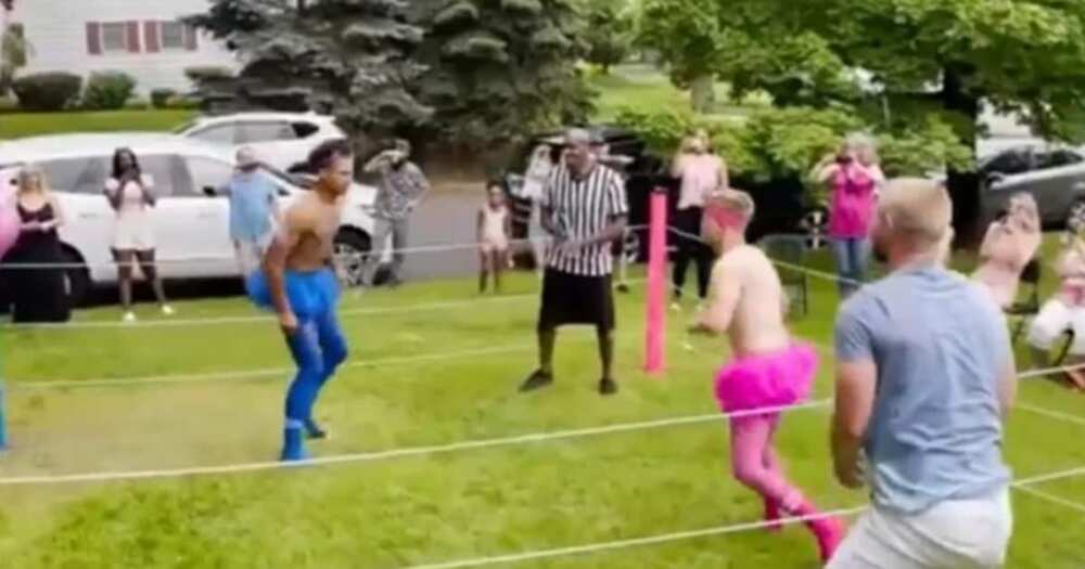 It's a girl: Creative couple goes viral after hosting WWE ...