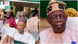 Big trouble for Tinubu as powerful APC senator dumps ruling party in top northern state, joins PDP