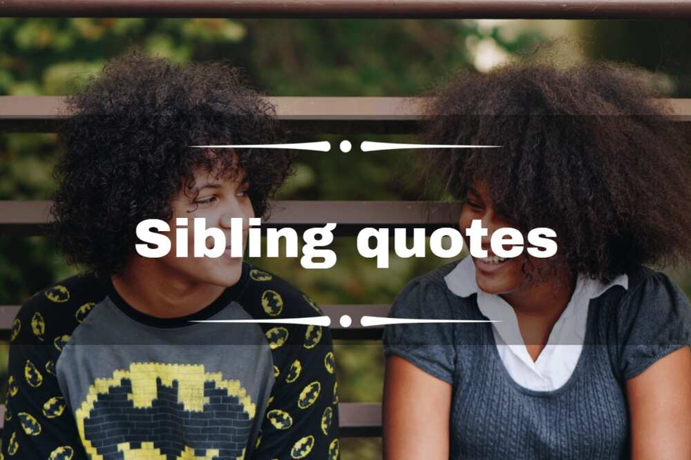 Sibling quotes