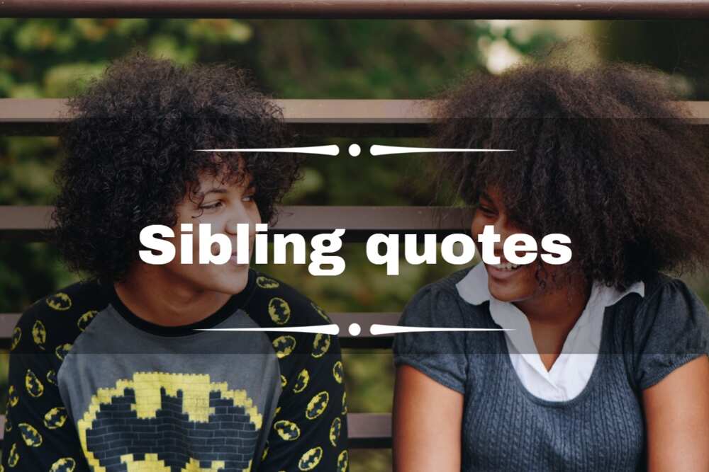 sibling quotes and sayings