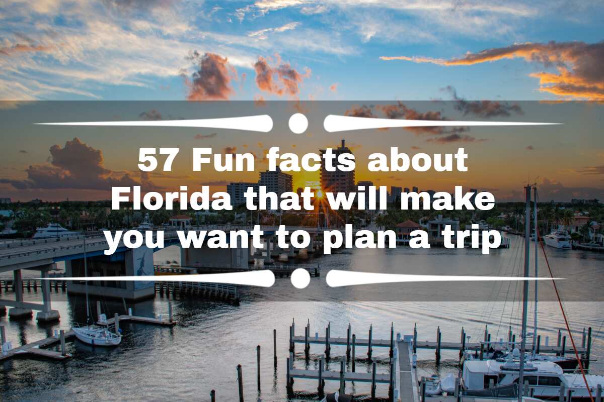 57 Fun Facts About Florida That Will Make You Want To Plan A Trip ...