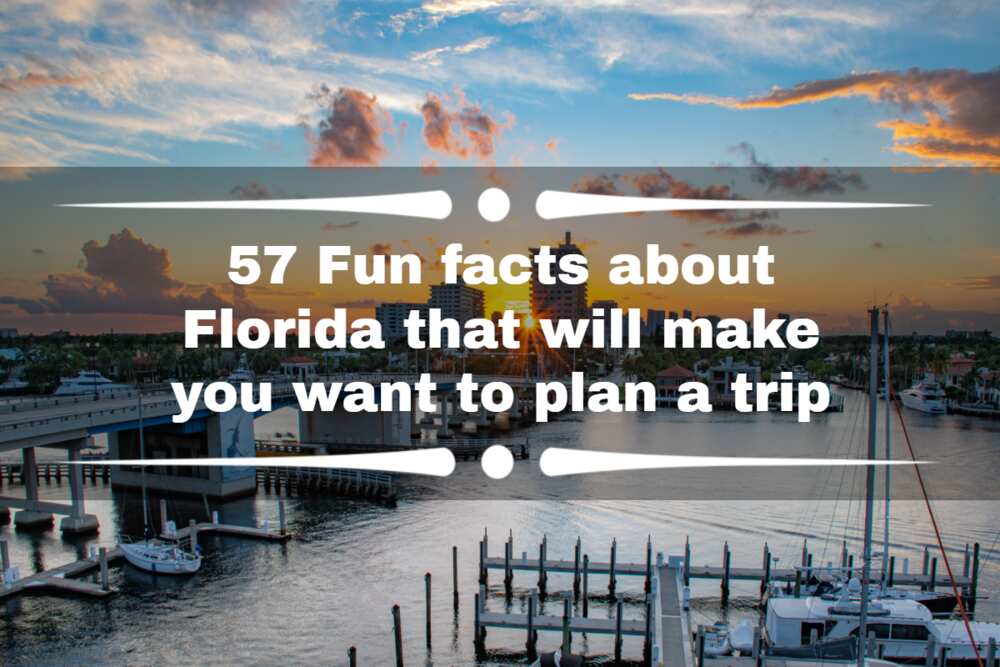 Fun facts about Florida