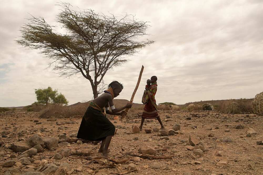 At least 18 million people across the Horn of Africa are facing severe hunger as the worst drought in 40 years devastates the region