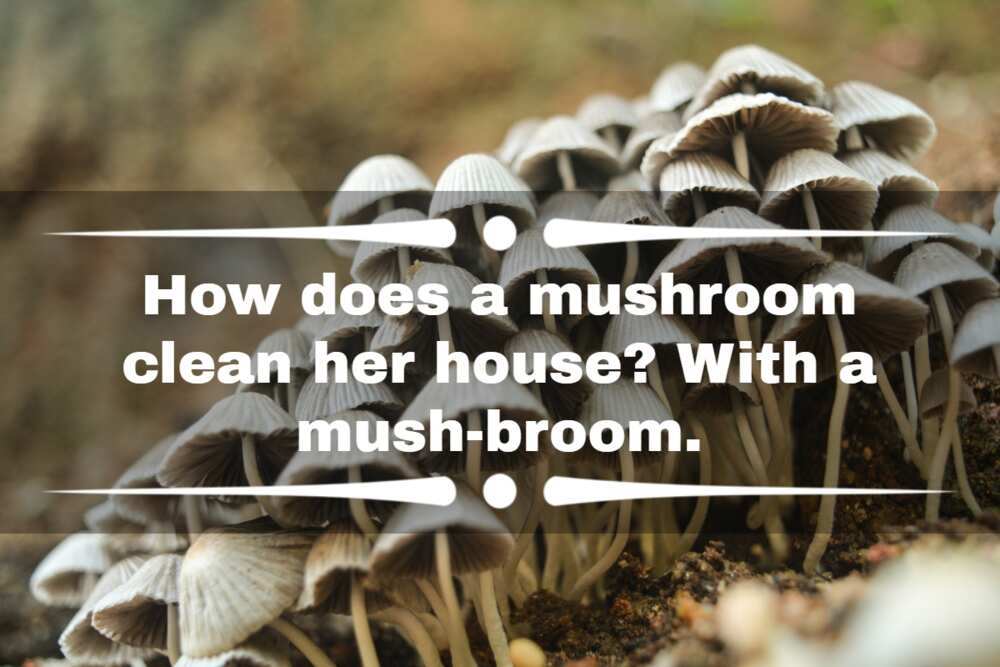 mushroom pick up lines