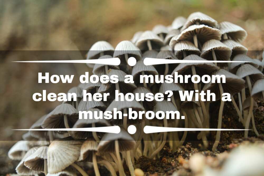 funny smurf jokes with mushroom