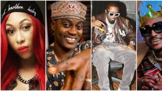 Cynthia Morgan, Sound Sultan, and 6 other talented Nigerian artistes fans continue to desire their comebacks