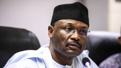 2023: INEC Ta Kammala Nazari Kan Sakamakon Zaben Gwamnoni 28, Ta Ɗauki Mataki Kan Jihohi 2