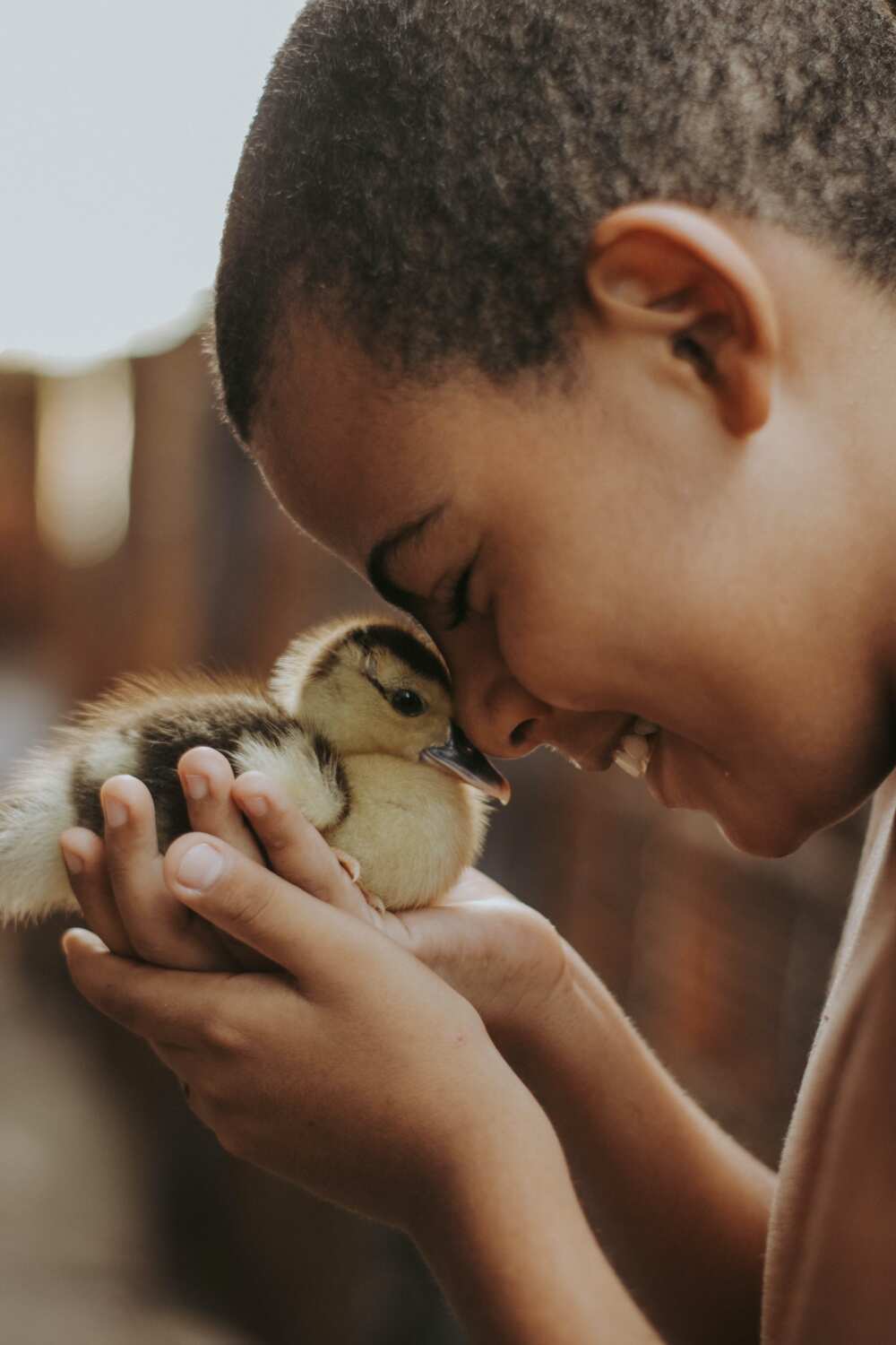 Cute duck names Cute duck names
