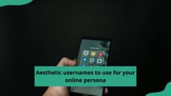200+ aesthetic usernames to use for your online persona