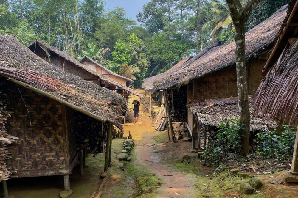Traditional Baduy tribal houses in the Indonesian village of Kanekes, Banten province