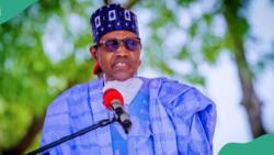 Buhari opens up on Mambilla settlement agreement with Sunrise Power