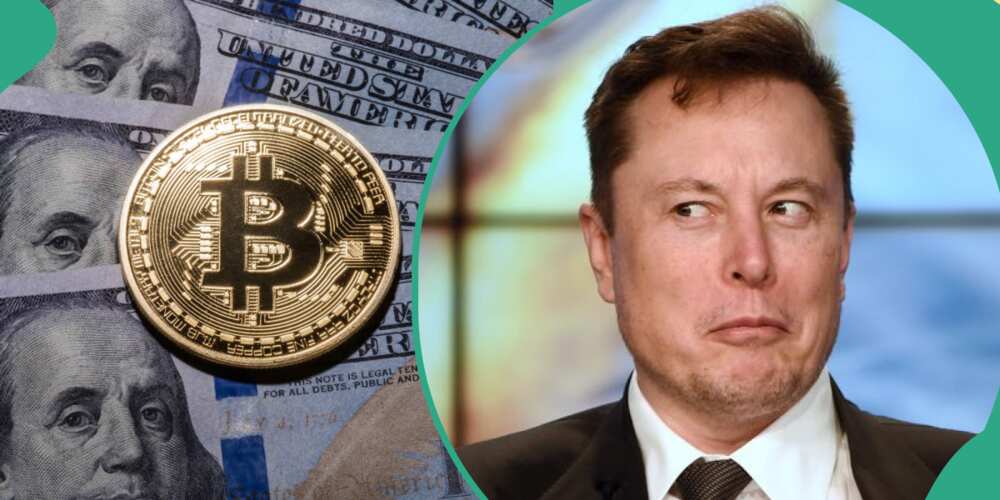 Elon Musk, Bitcoin