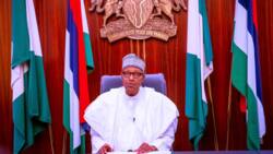 Jubilation as President Buhari announces new policy that will benefit minimum wage earners