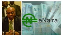 Nigerians turn to eNaira for safety amid cash scarcity, transactions surge