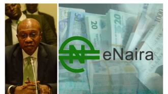 Steps to making passive income as eNaira merchant as CBN releases Guidelines