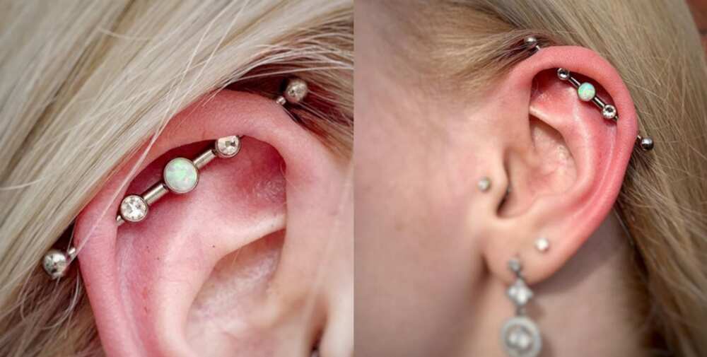 ear piercing types ear piercing types