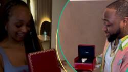 "For being my most trusted staff": Davido gifts cousin diamond Cartier watch, video sparks reactions