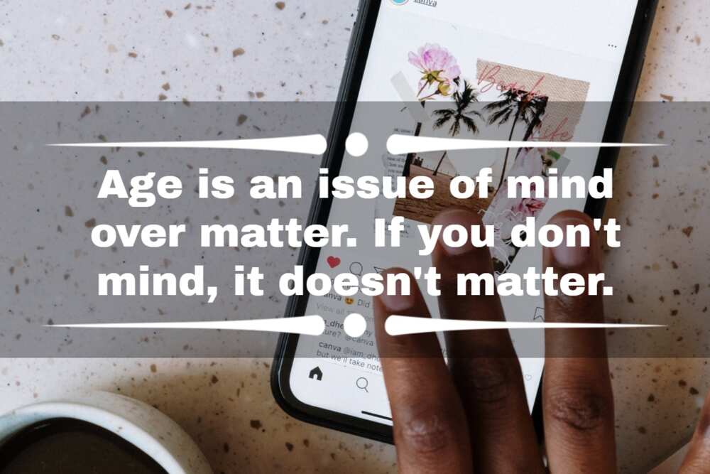 funny quotes for instagram bio funny quotes for instagram bio