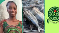 JAMB 2024: Fish seller writes UTME after studying in the market, scores 224