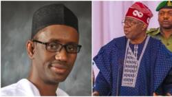 Nuhu Ribadu: Is special adviser on security the same as NSA? Prominent lawyer speaks