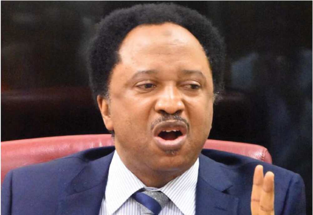 Shehu Sani Shehu Sani