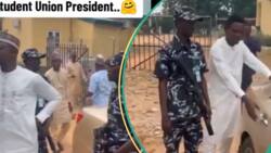 “If this one catch presidency”: Nigerians react as president of Adamawa students union uses police