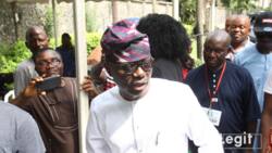 Breaking: Sanwo-Olu wins 18 LGs, leads LP’s Rhodes-Vivour with over 400,000 votes